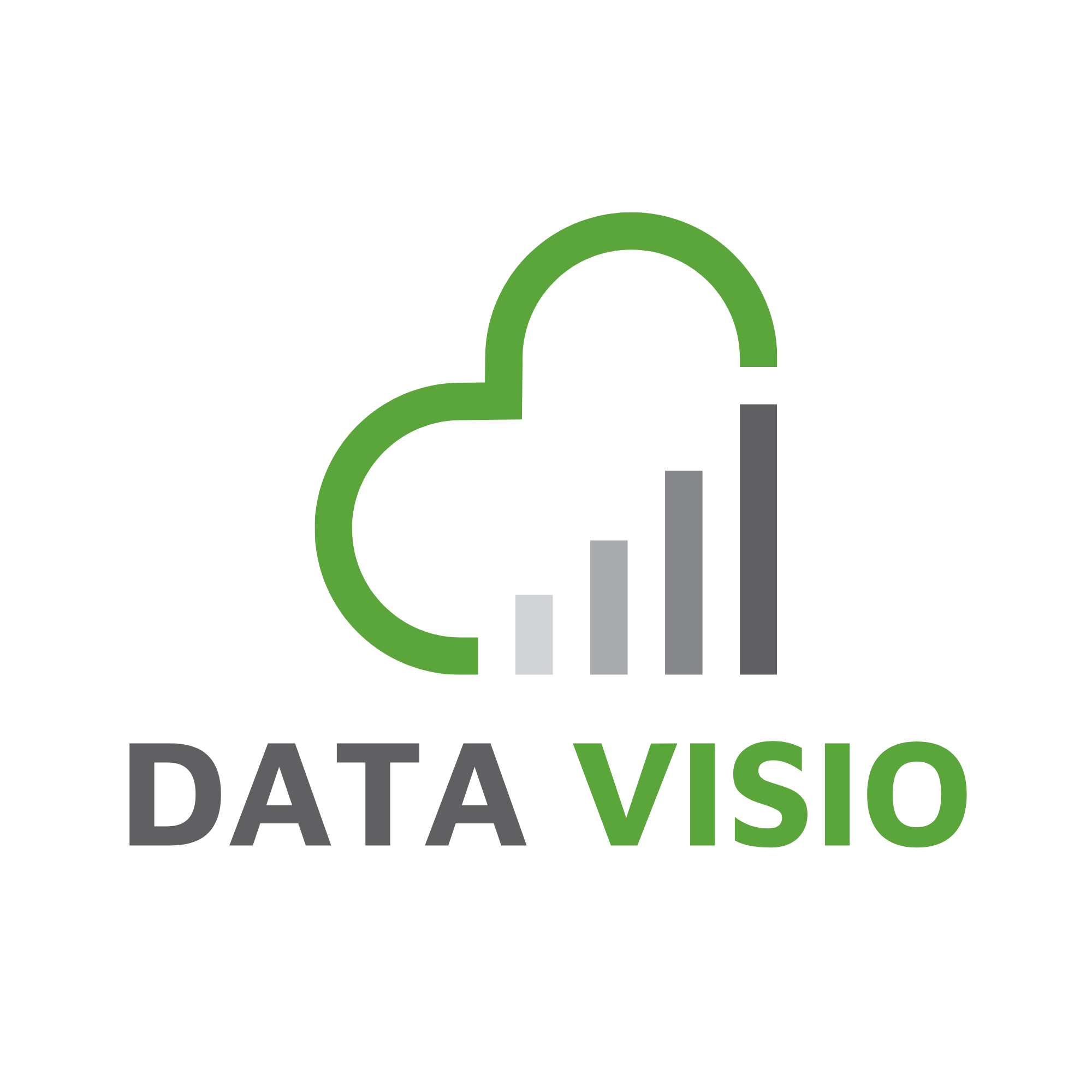 DATA VISIO logo